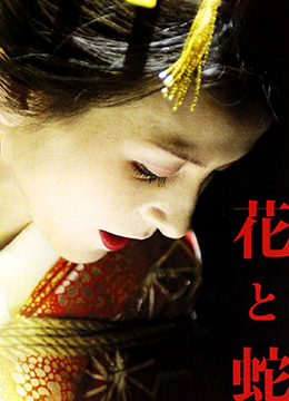 时间短怎么才能治得好 - BD国语免费观看-99精品国产91久久久久久无码 - 超清全集免费播放 - 97视频网欧美日韩精品综合国产 - BD英语全集在线观看