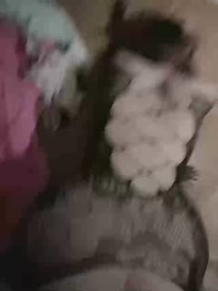 **字幕特级毛片