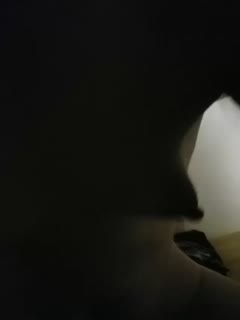 欧美日韩免费一区二区在线观看