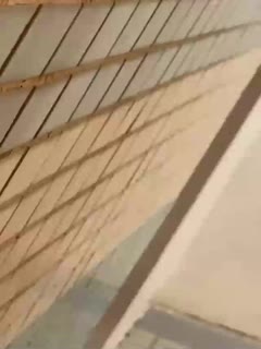 您正在觀看《精品久久免费视频-中文字幕高清免费日韩视频在线 - 97视频网》.html一个人免费观看在线视频www-免费国产午夜激情片 - 97视频网男人的天堂Aⅴ在线