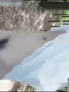 欧美午夜福利电影a在线