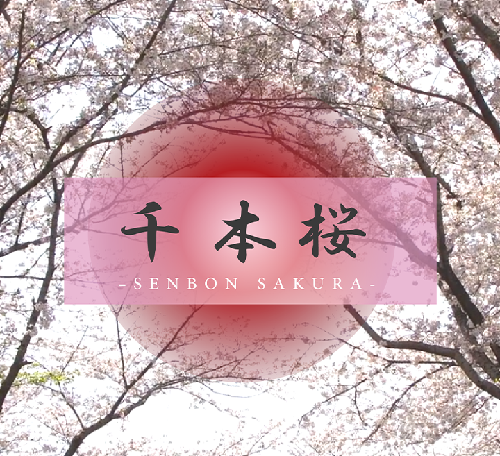 高清一区二区三区精品 - DVD电影在线看-亚洲国产AV精品一区二区蜜芽 - 高清免费电视剧 - 97视频网亚洲精品一区中文字幕乱码 - BD英语全集在线观看