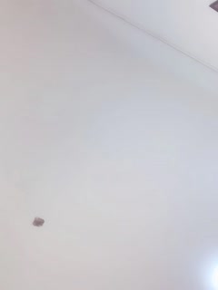 欧美激情蜜桃视频加勒比在线