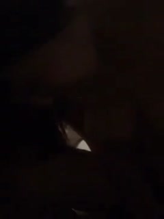 久久国产欧美日韩精品图片