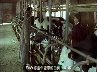 德国dietfu雷达 - 国产剧电影免费在线-看免费一级在线播放毛片 - 蓝光BD在线观看 - 97视频网欧洲尺码日本尺码专线不卡顿 - 1080P电影完整版