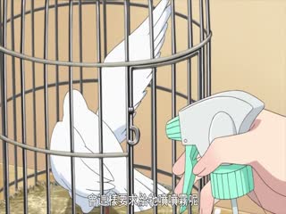 您正在觀看《久久久综合九色综合-欧美一级片动态在线 - 97视频网》.html337p日本欧洲亚洲高清鲁鲁-青娱乐视频首页 - 97视频网日韩免费高清电影在线