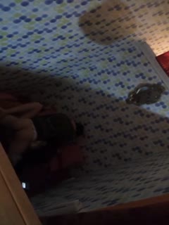 毛片无码不卡在线观看