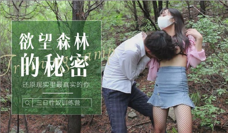 无忧传媒在短视频领域的成就