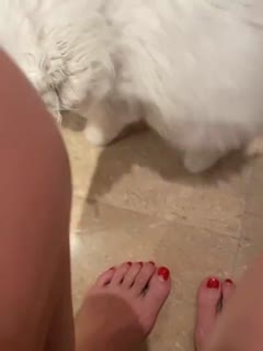 无码人妻久久一区二区三区APP