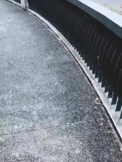 女同另类一区二区三区