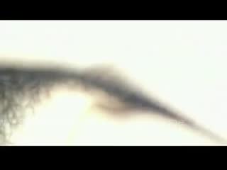 五月天婷亚洲天久久综合网