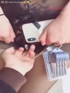 欧美在线人视频在线观看