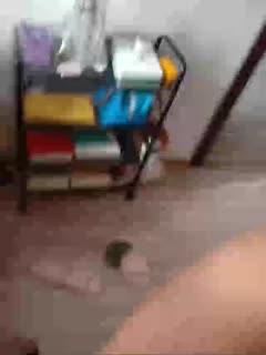 国产在线不卡精品网站