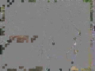 日日摸处处碰夜夜爽视频