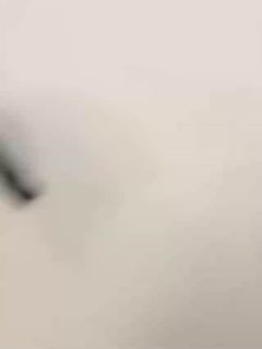 高清无码黄色视频