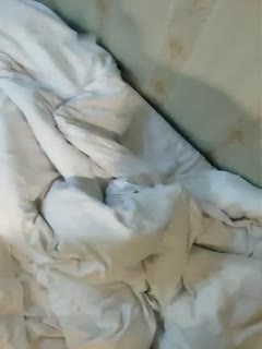 无码午夜人妻一区二区不卡视频