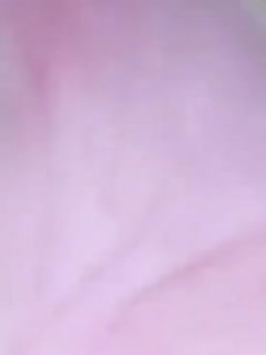 国产成人在线网址