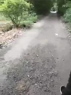 亚洲欧美国产精品一区二区