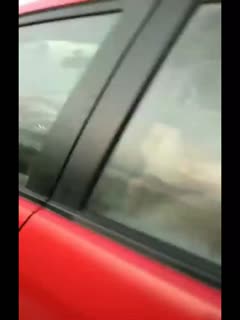 2021最新无码专区