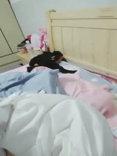 午夜电影大全亚洲精品