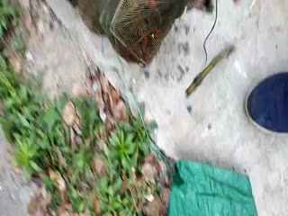 一级黄色免费电影