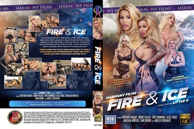 国产日韩在线观看视频