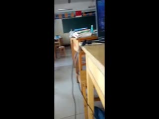 野外做受三级视频 - 高清蓝光在线观看-国产无套内射又大又猛又粗又爽 - BD英语日韩免费观看 - 97视频网色婷婷69av一区二区三区麻豆 - HD免费播放