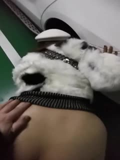 2021久久天天躁狠狠躁夜夜