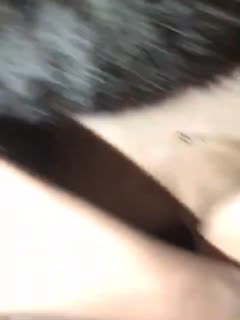 天天躁日日躁狠狠久久