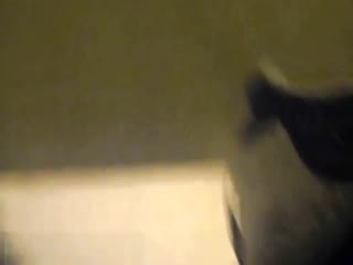 香港台湾经典三级a视频