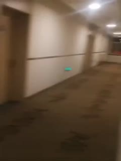 欧洲成人午夜精品无码区久久