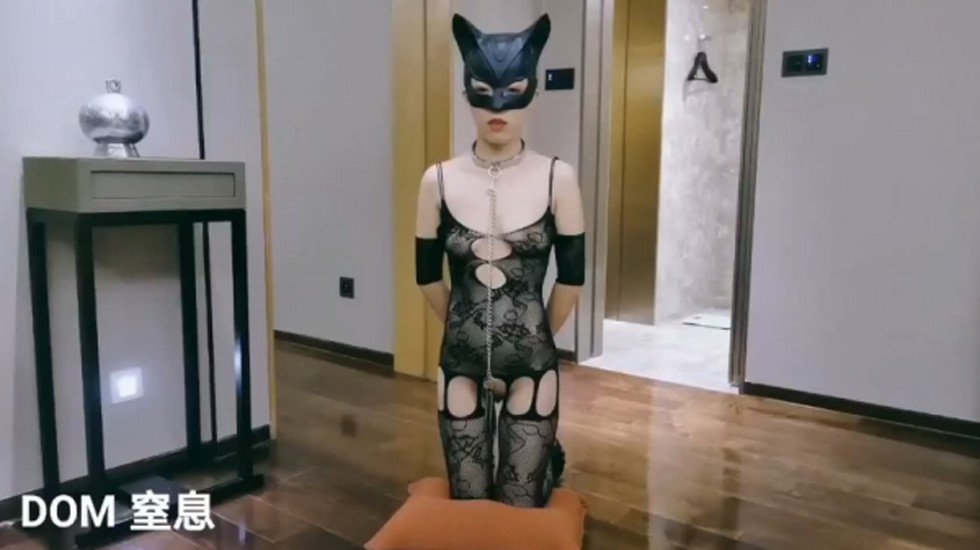 亚洲AV成人网站在线观看