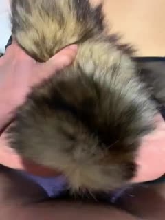 国产区精品福利在线观看精品 - DVD免费观看超清