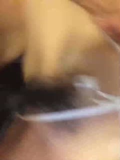 成年男女免费视频在线观看不卡