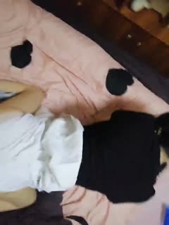 无码中文字幕在线专区-国产女人喷潮视频免费 - 97视频网久久免费激情视频