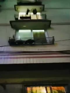 欧美一级视频免费在线播放