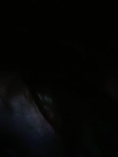 国产一区二区不卡免费观在线