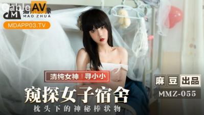 久久精品人人做人人爽