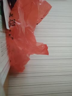 国产熟睡乱子伦午夜视频