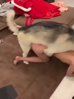 婷婷激情五月-日本美发沙龙 - 97视频网欧美视频在线播放观看免费福利资源