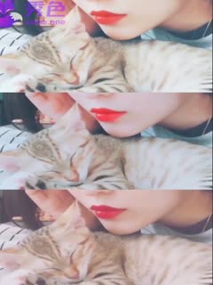 黑帮少爷爱上我第三季在线观看-久久视频在线观看 - 97视频网日本一级毛片毛片一级毛片