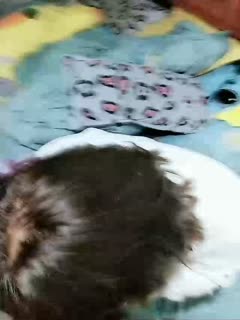 99热精品国产麻豆