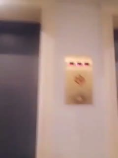 国产无码精品在线观看每天