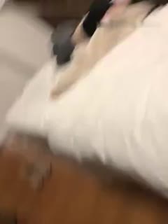 亚洲色婷婷婷婷五月基地