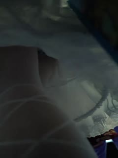 野花高清在线观看免费官网