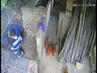 国产日韩欧美黄色片免费观看