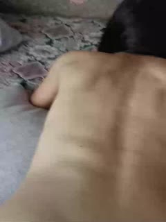 免费观看成人欧美WWW色