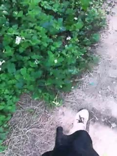 韩国福利一区-高清精品一区二区三区 - 97视频网耽美肉文h