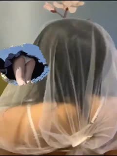 高清无码午夜福利在线观看