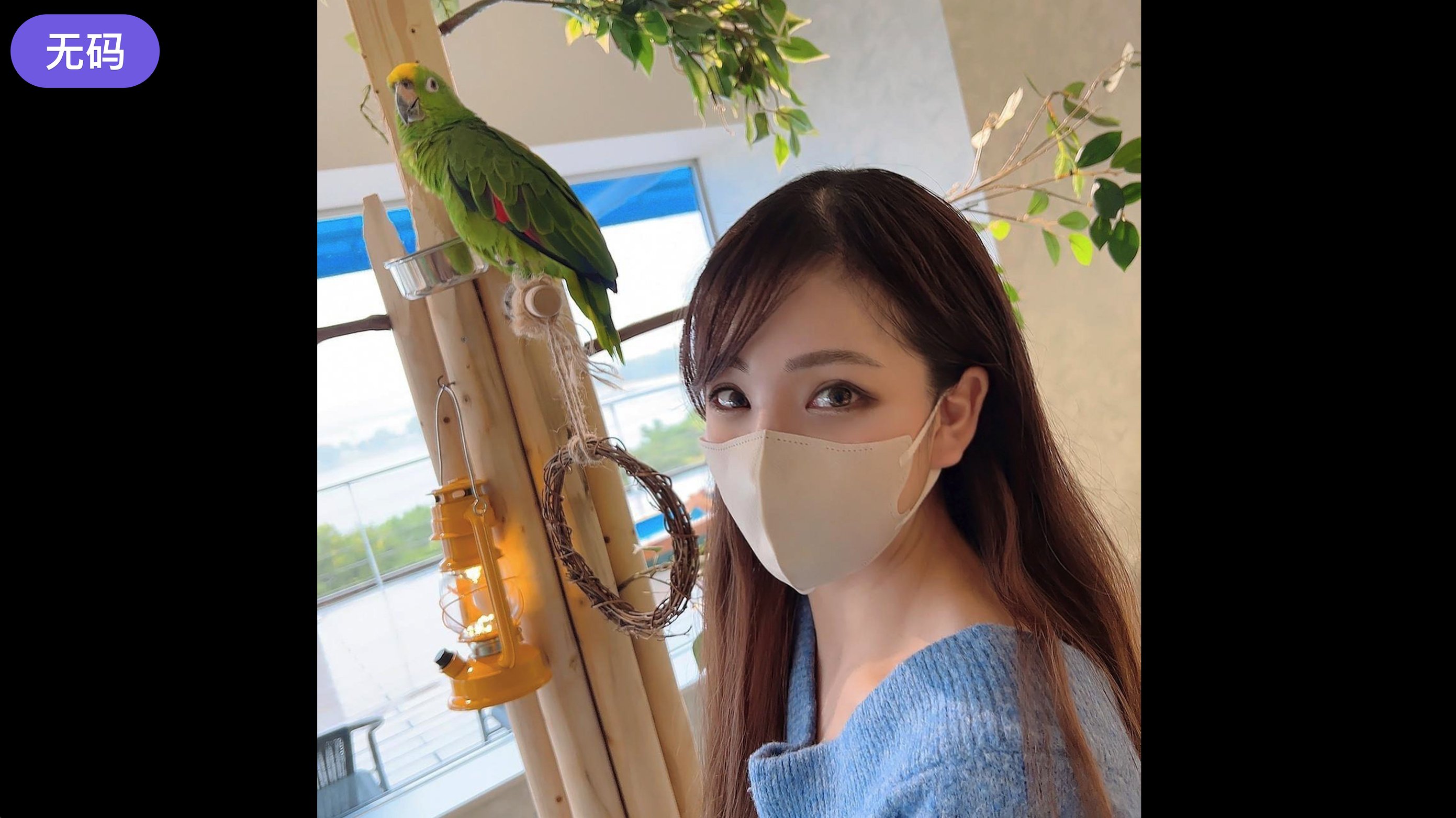 91天堂国产在线在线播放